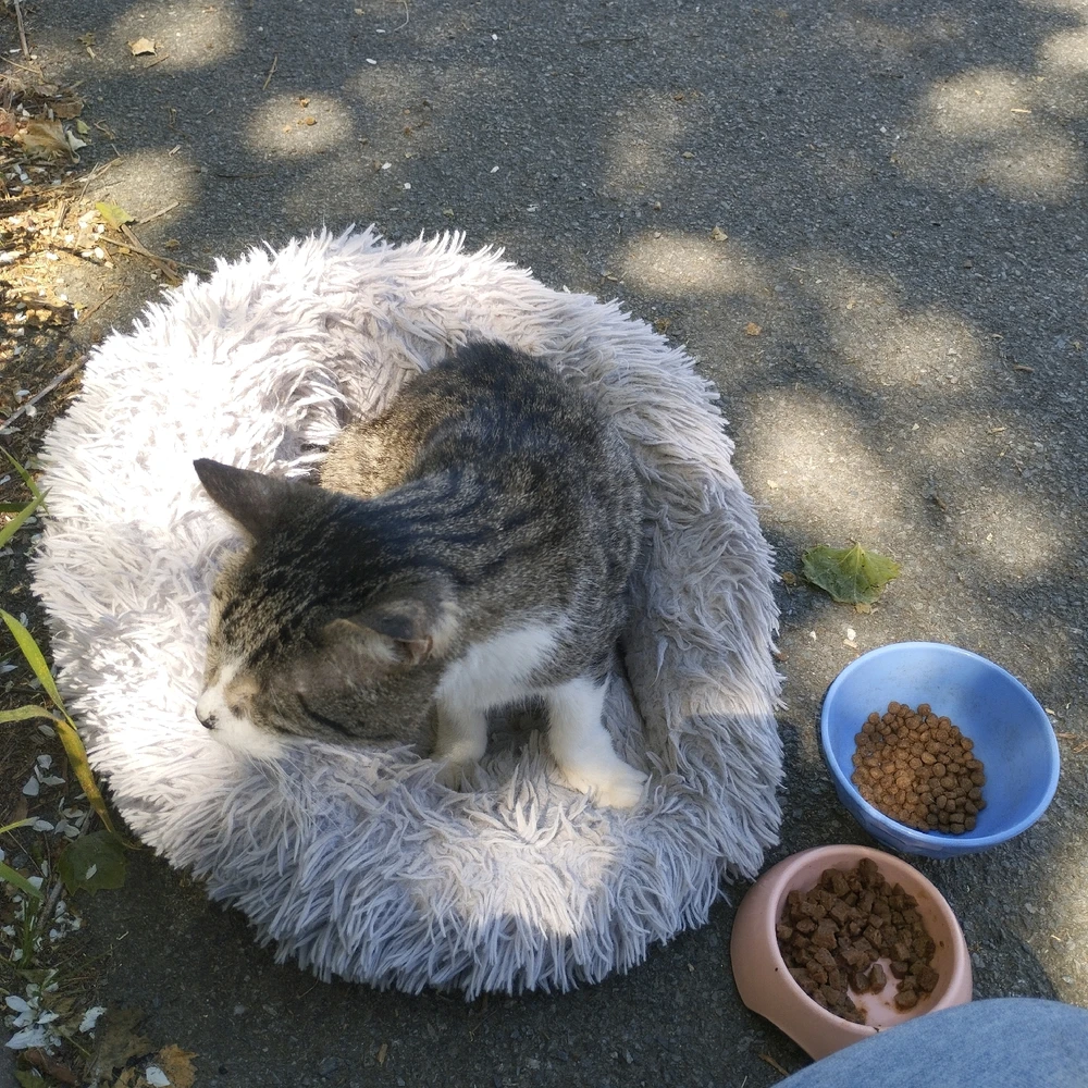 Image ajoutée par Chris