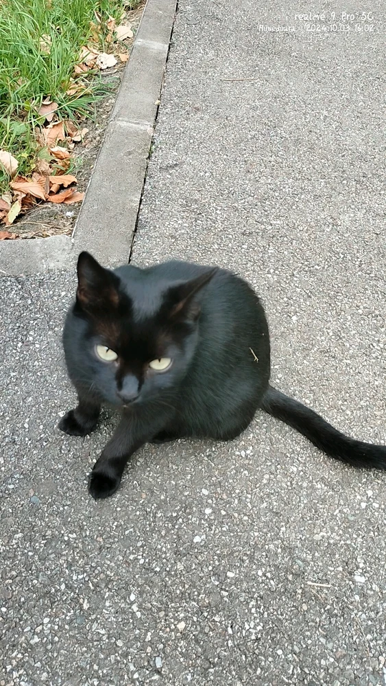 Imagine încărcată de Alex