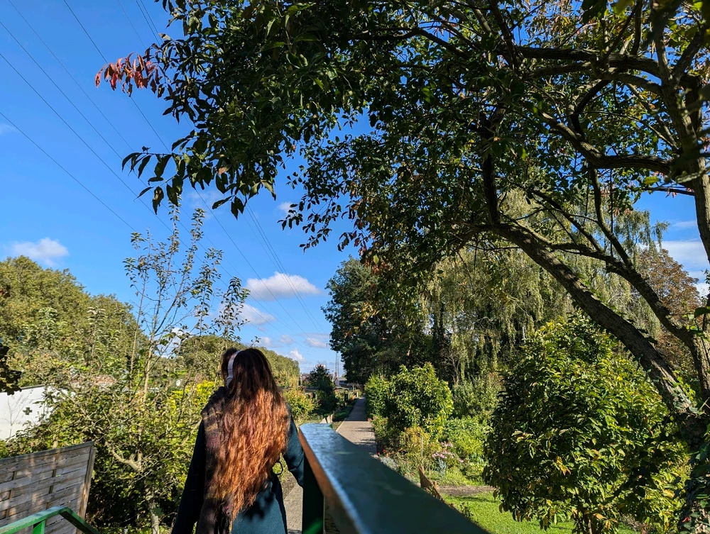 Bild hochgeladen von Mina