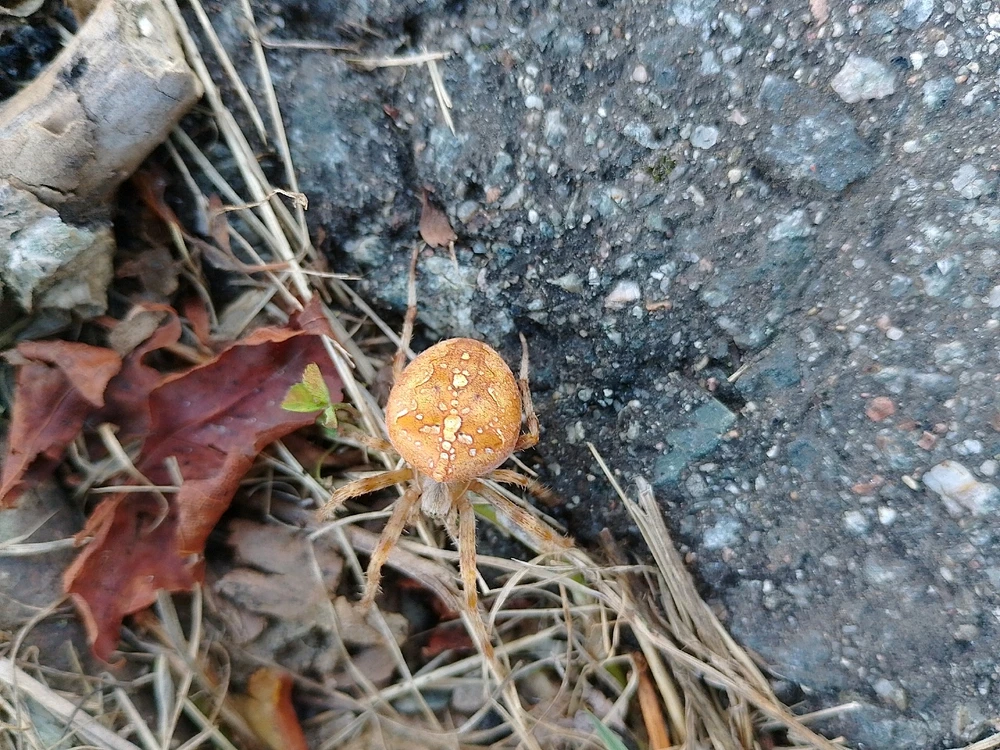 Bild hochgeladen von Rosa