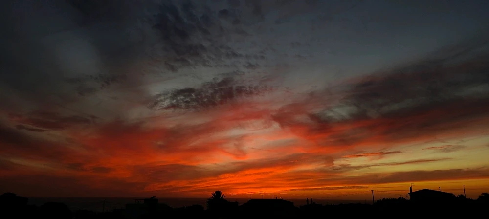 Immagine caricata da Jason