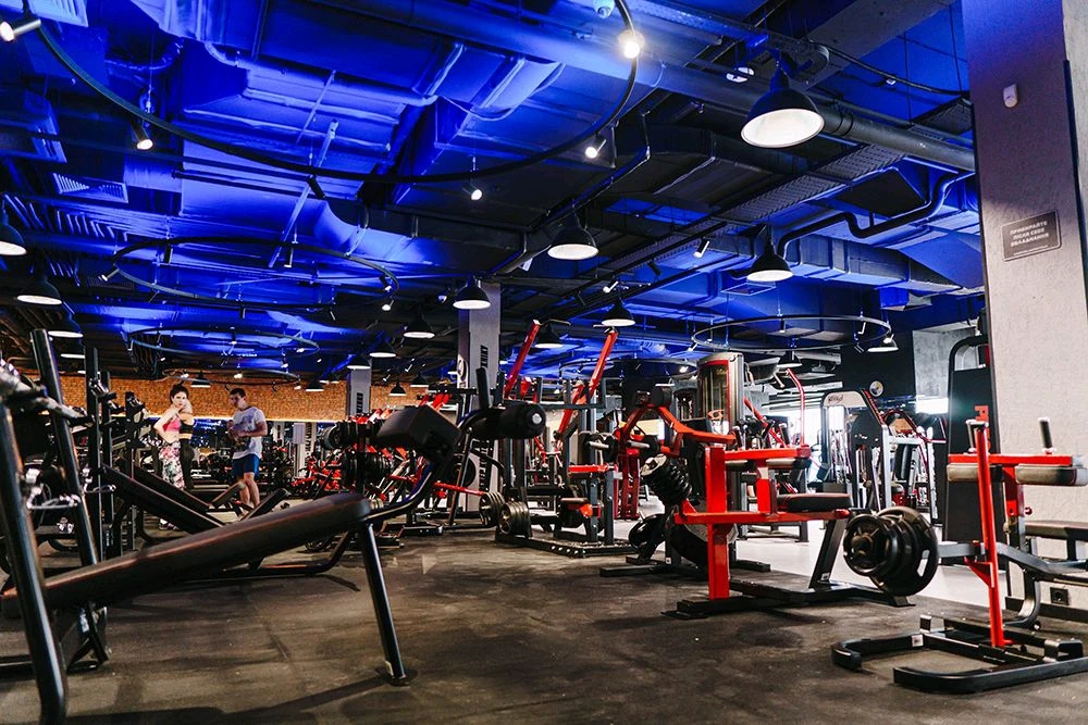 Зображення завантажив Tasa