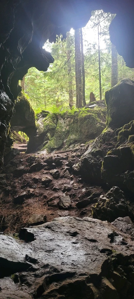Image uploaded by Mason