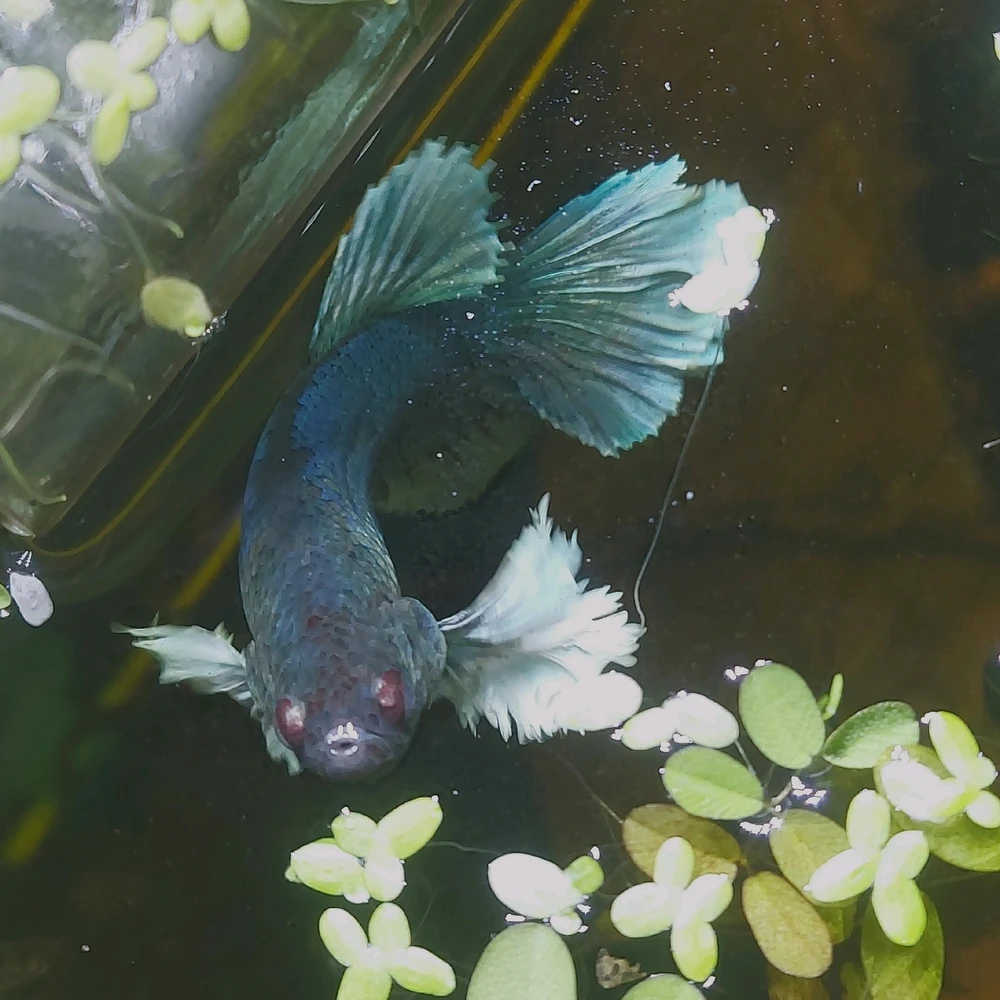 Zdjęcie dodane przez Anna