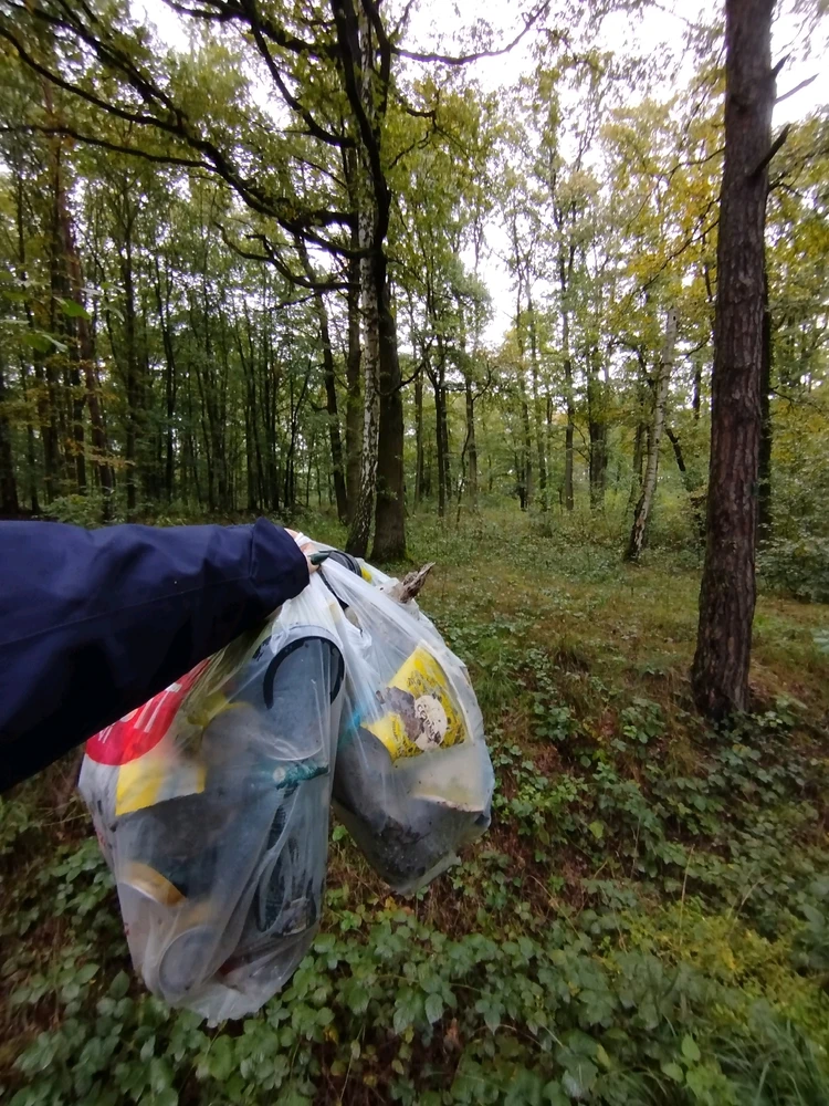 Obrázek nahrál Domča