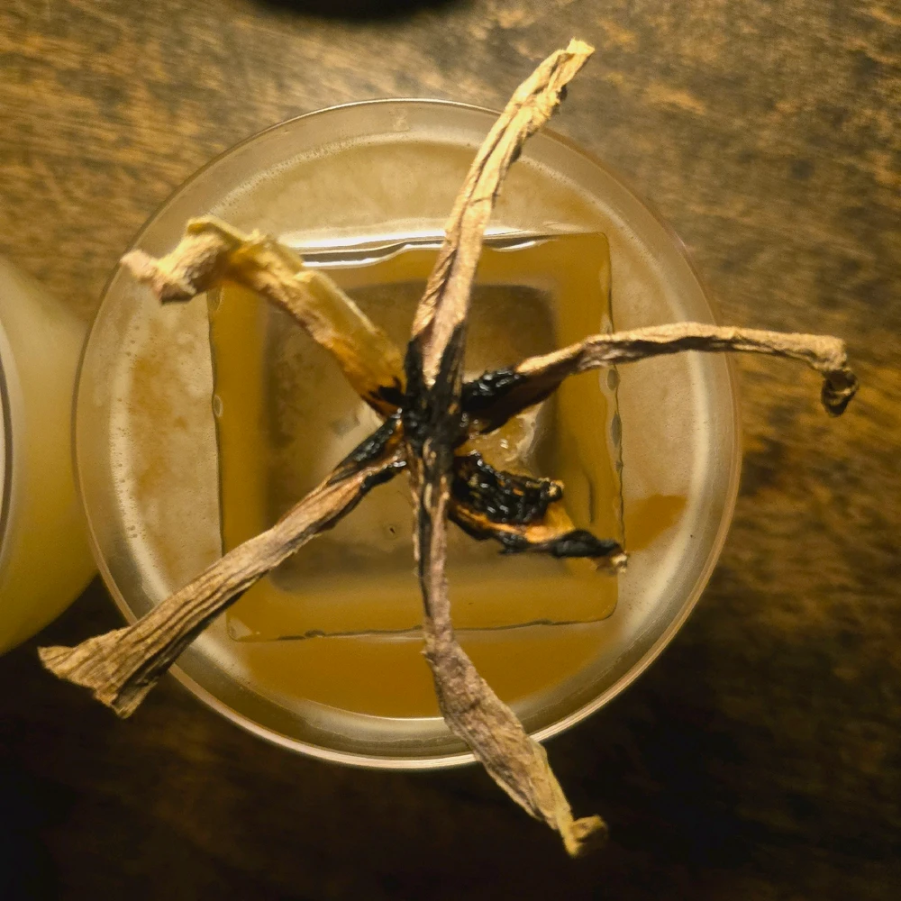 Penicillin