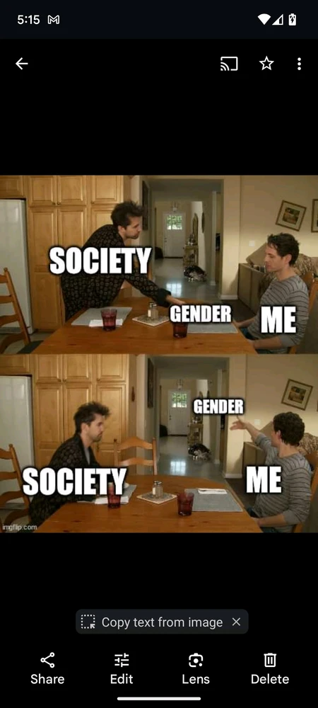 Feelings towards gender roles explained through a common popular meme.