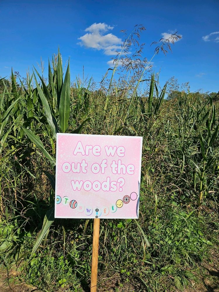 Pink sign in a corn maze asks, Are we out of the woods?