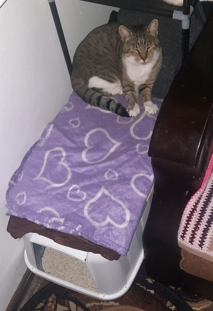 Imagine încărcată de Cristi