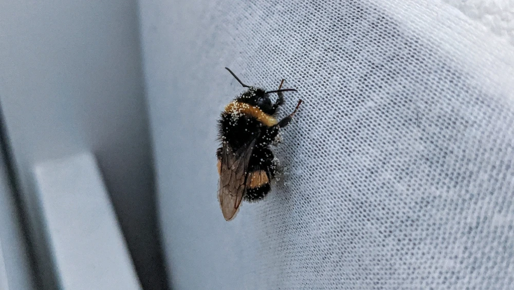 Image uploaded by aron