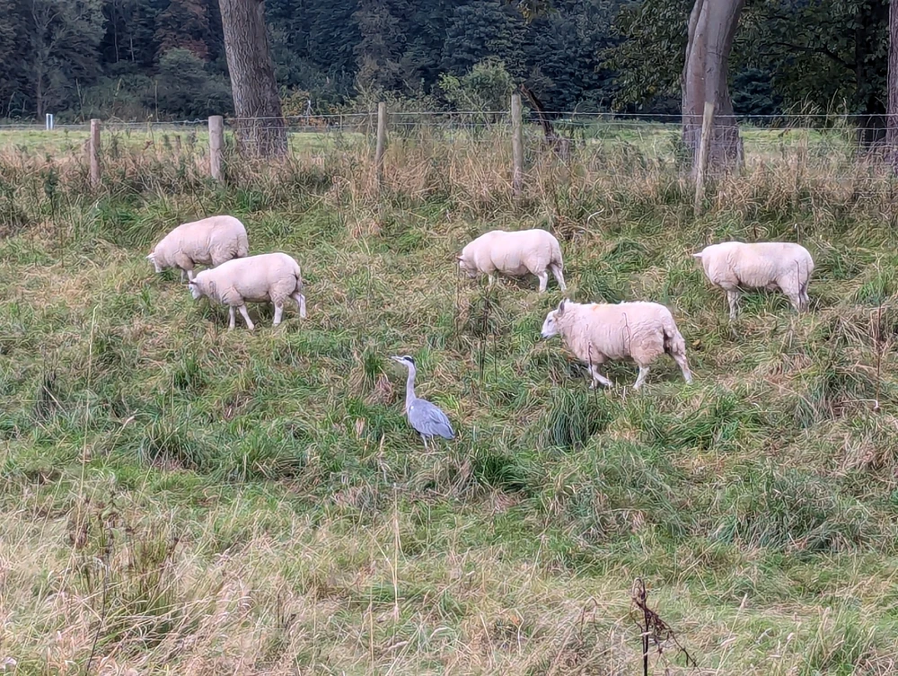 Image uploaded by Stacey