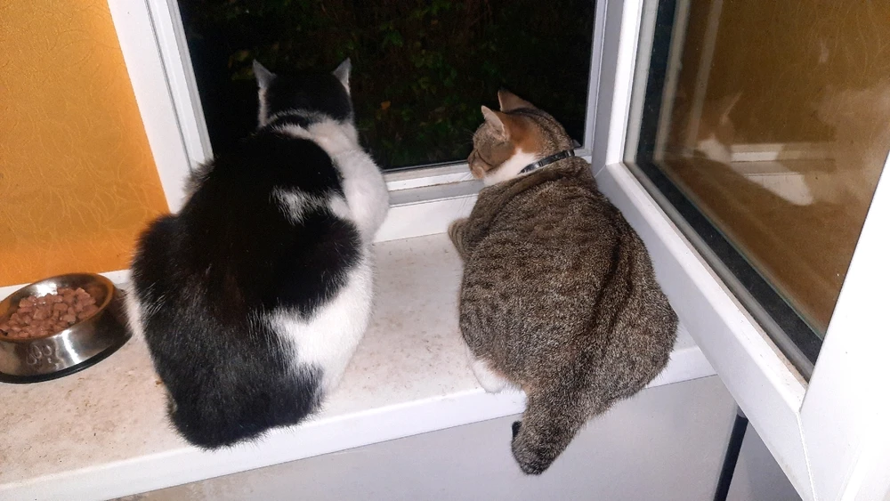 Imagine încărcată de Cristi