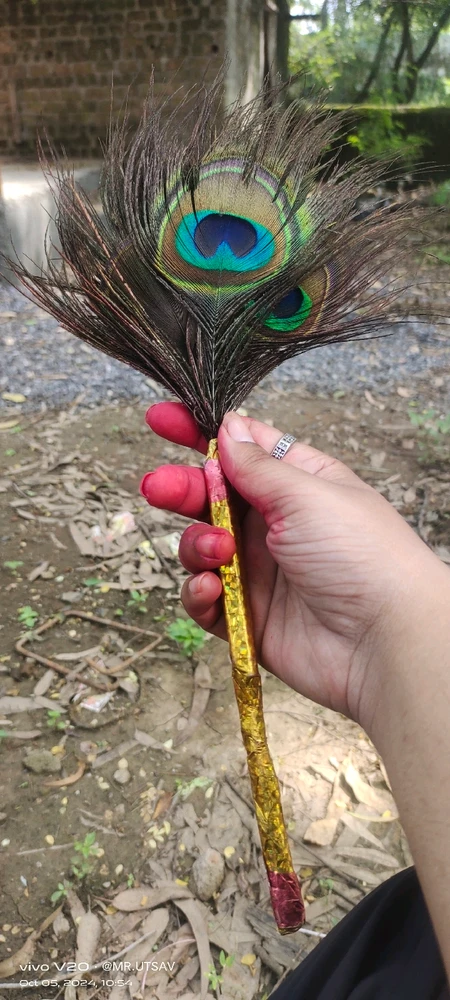 Image uploaded by Krishn jaiswal