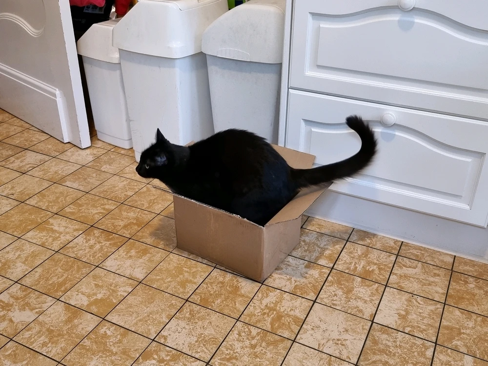 Bild hochgeladen von Rafi