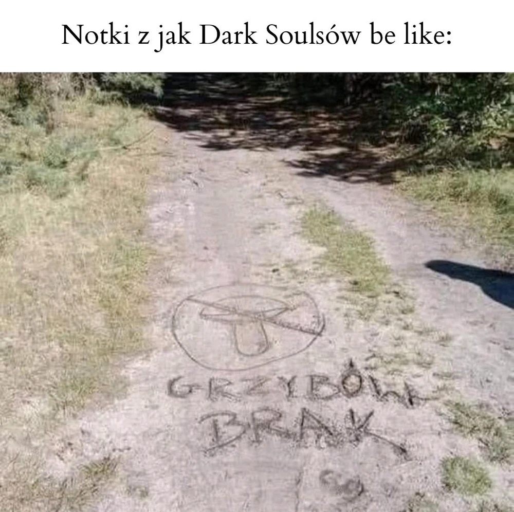 Notatki jak z Dark Soulsów by like: