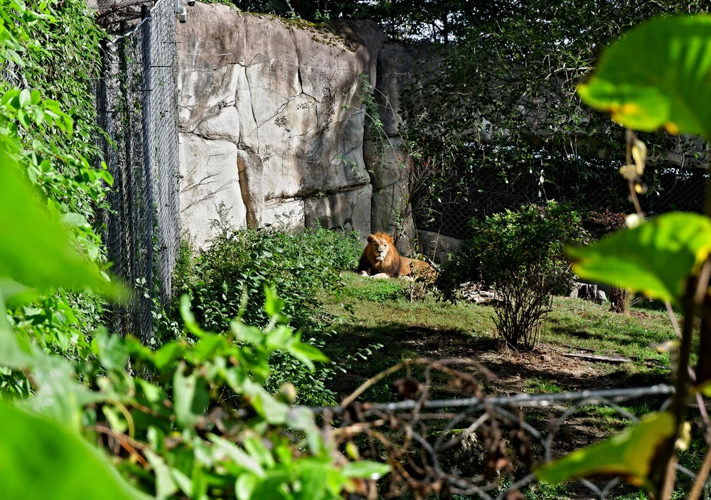 Obrázek nahrál Daniel Kovář
