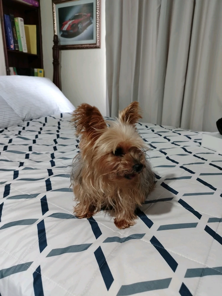 Imagen subida por Oscar jr