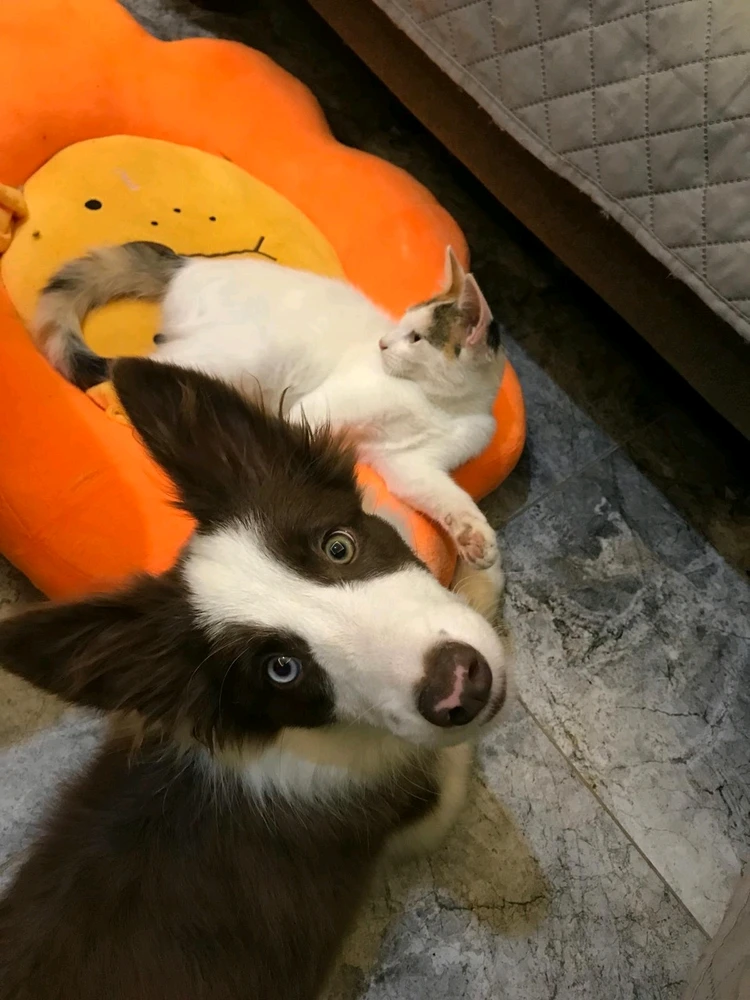 Yankı tarafından yüklenen görsel