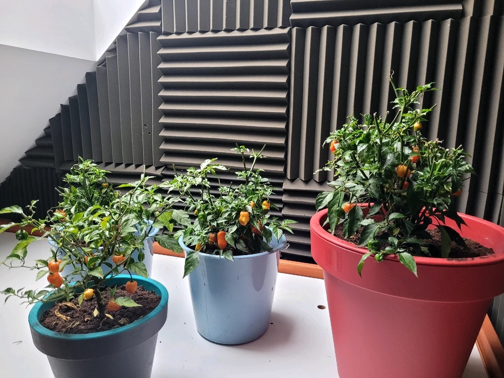 Zdjęcie dodane przez Marcin