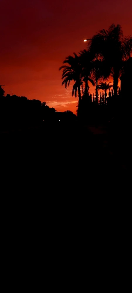 Image uploaded by othman