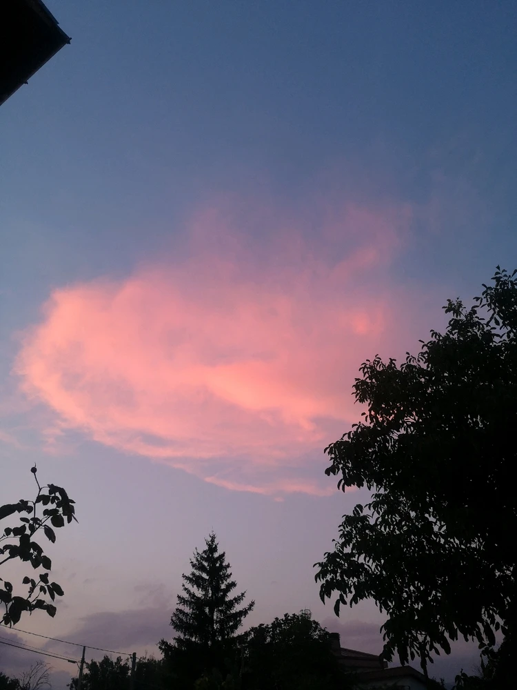 Immagine caricata da Chiara