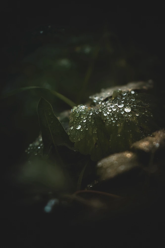 Immagine caricata da Miki