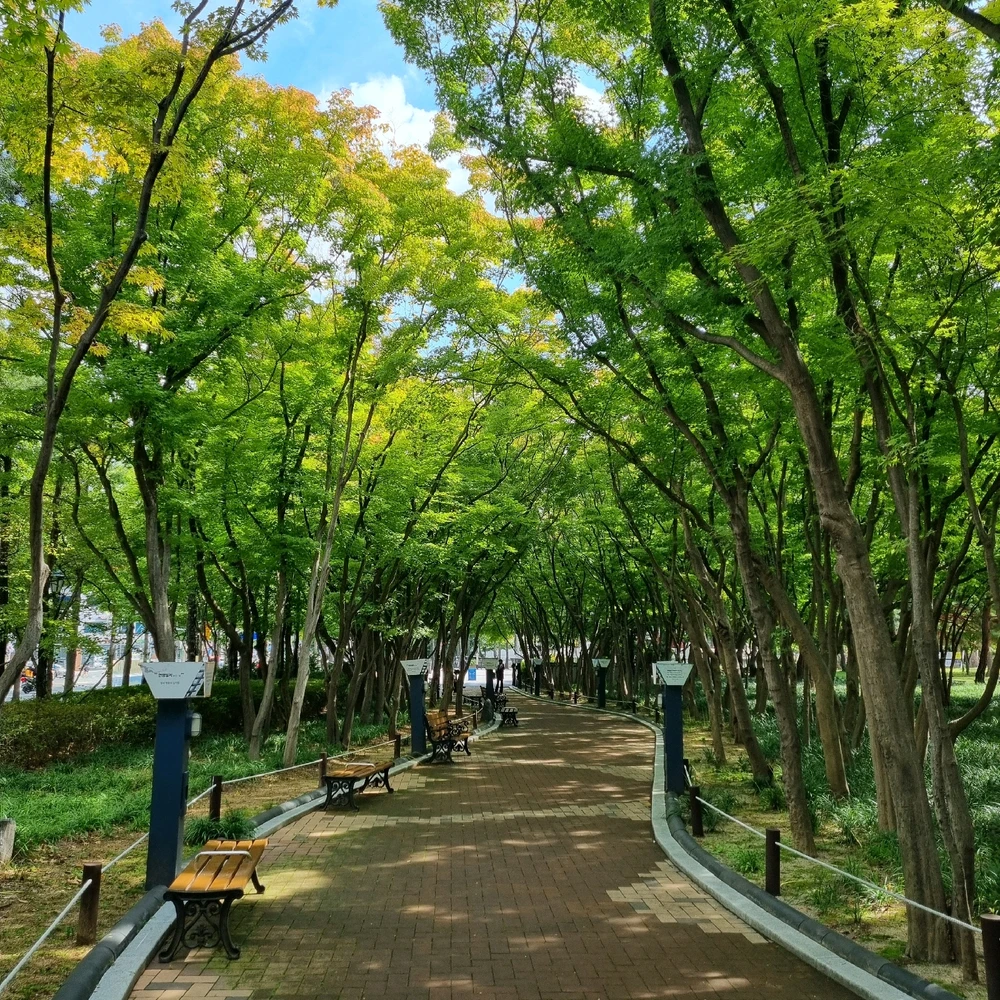 Juwon님이 올린 사진