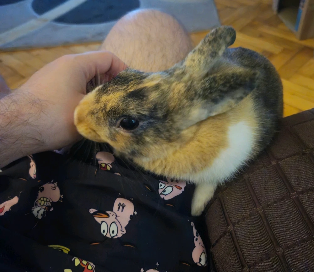 Zdjęcie dodane przez Bartek