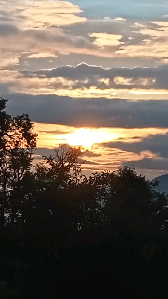 Image uploaded by Gypsy