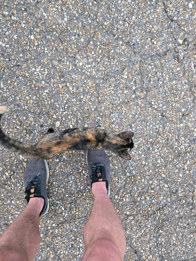 Image uploaded by Alexander