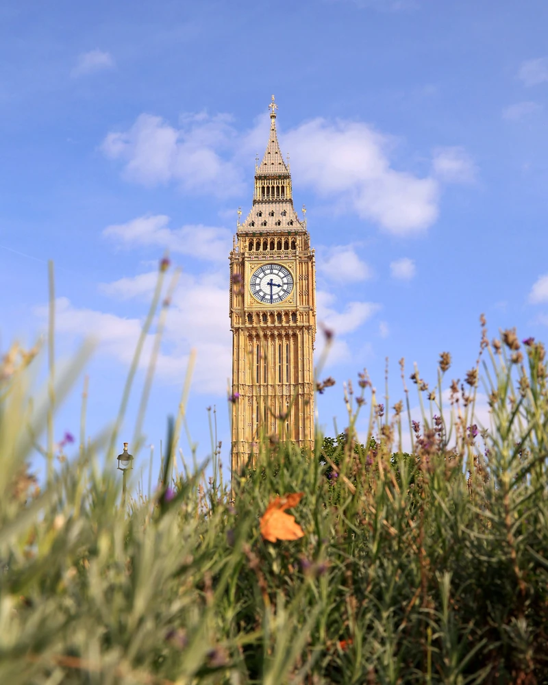 Bild hochgeladen von Kati