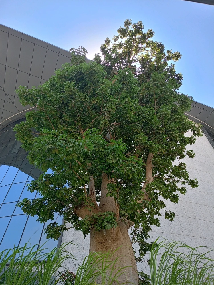 Image uploaded by SheToS