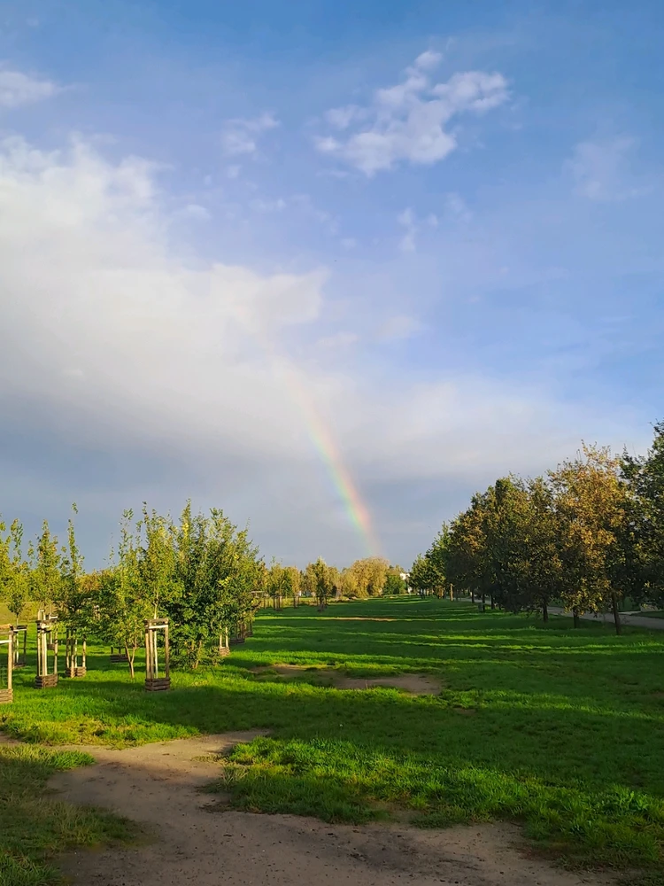 Zdjęcie dodane przez Anna