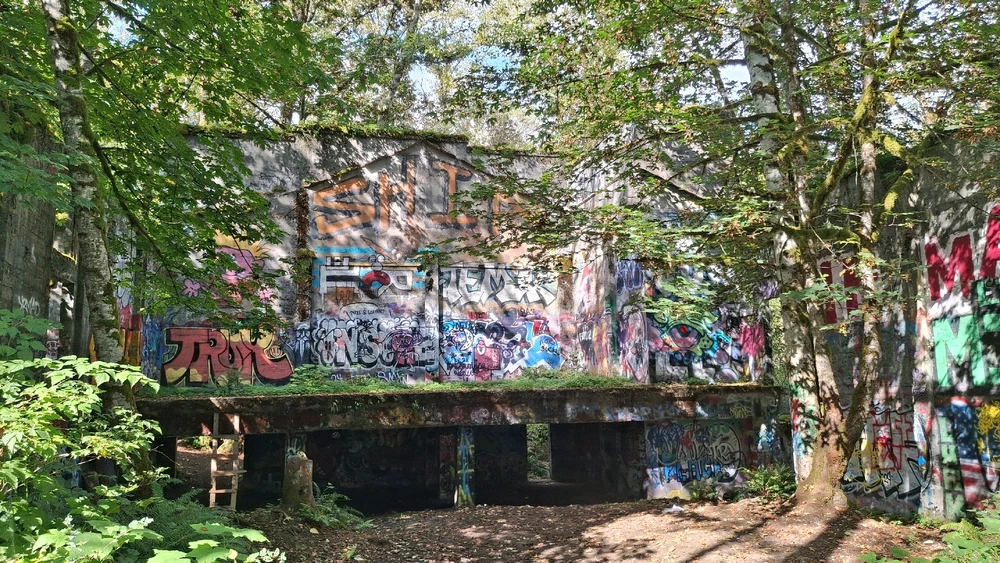 Image uploaded by Michael