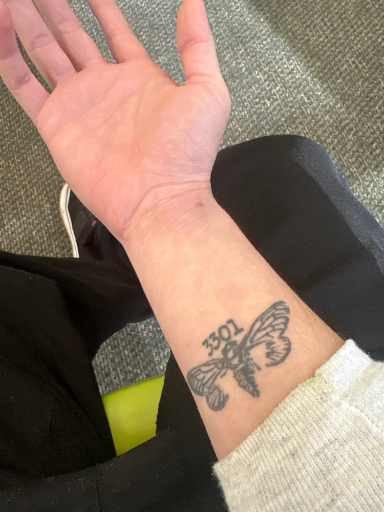 Image uploaded by Aniol