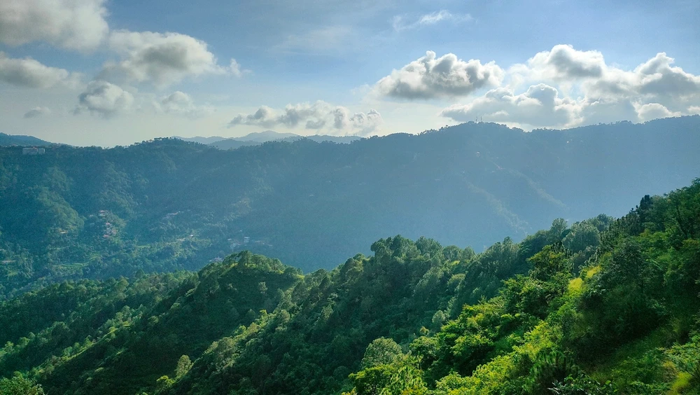 Image uploaded by Shishir