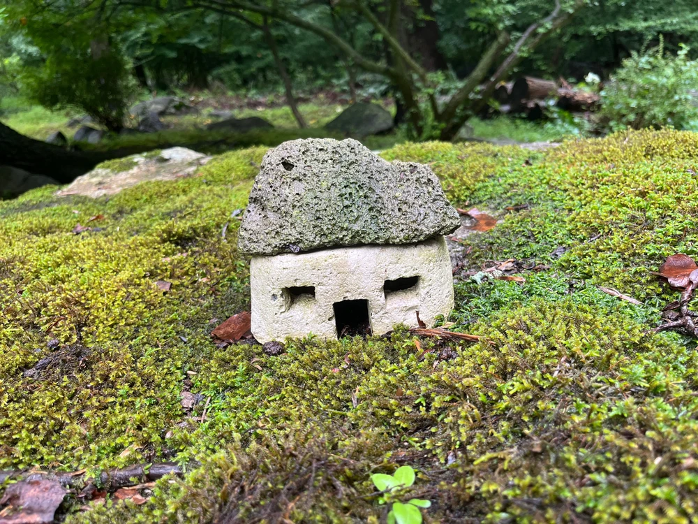 Many secret stories in these stones. Will you tell me yours?