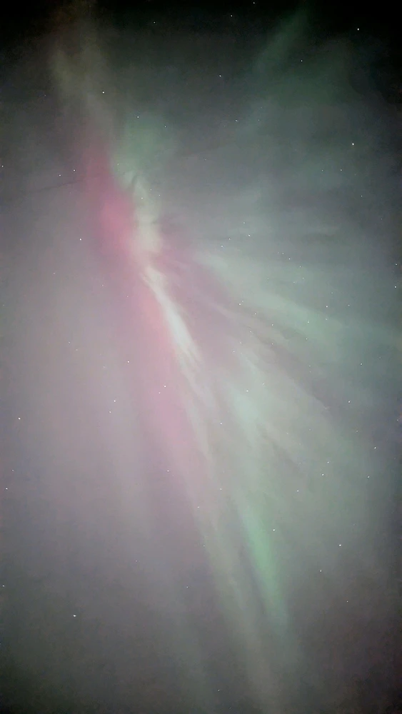 Image uploaded by Patrick