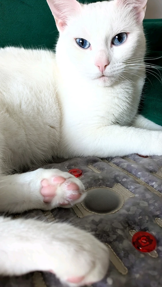 Image uploaded by Heaven Marie