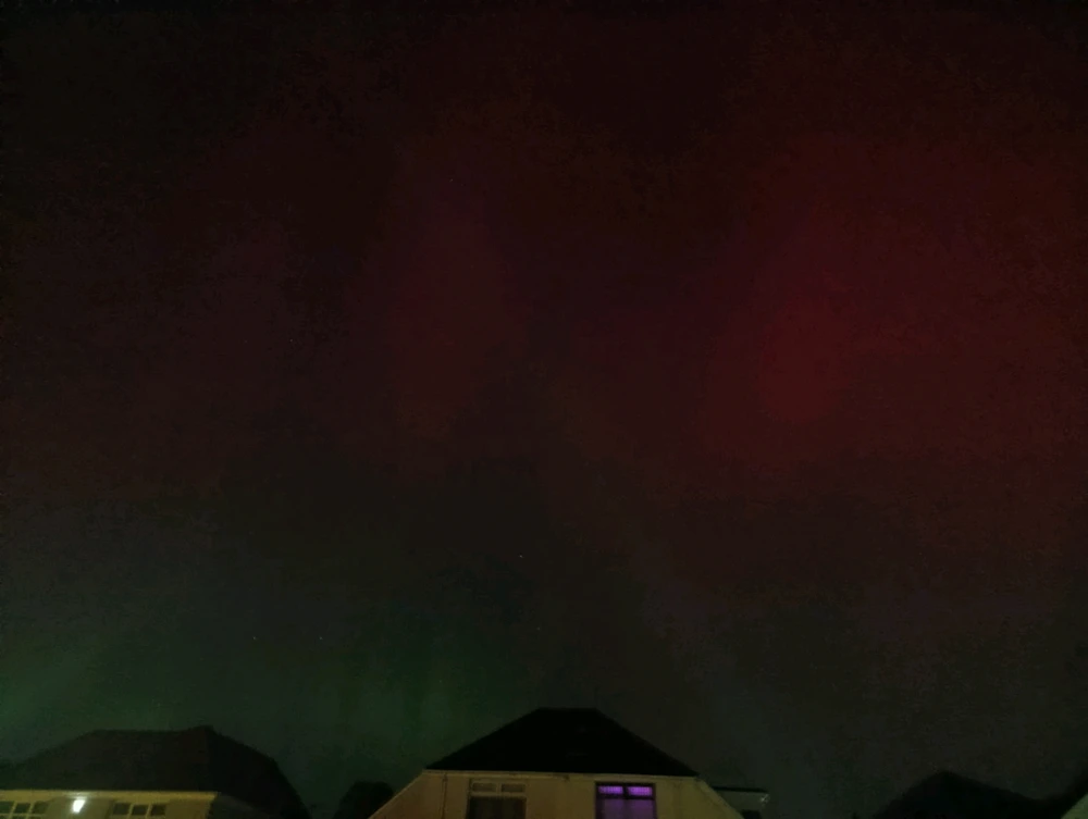 Image uploaded by San