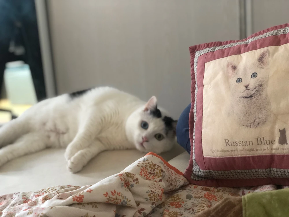 Obrázek nahrál Radek