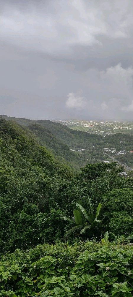 Image uploaded by Lucie