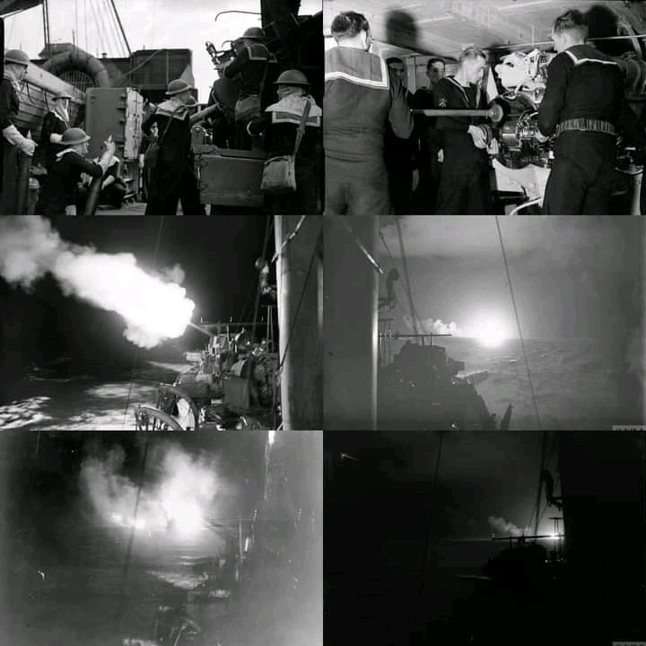 Image uploaded by Erik Thackrey