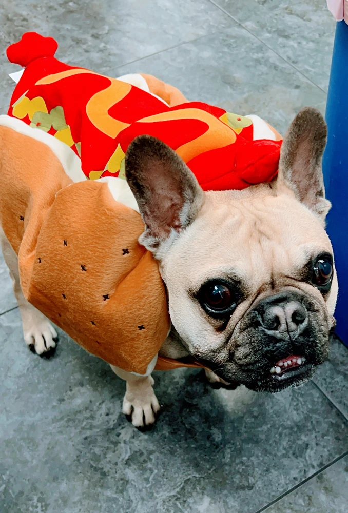 Image uploaded by M̷̷A̷̷R̷̷I̷̷A̷̷ ̷A̷̷N̷̷G̷̷E̷̷ ̷🖤