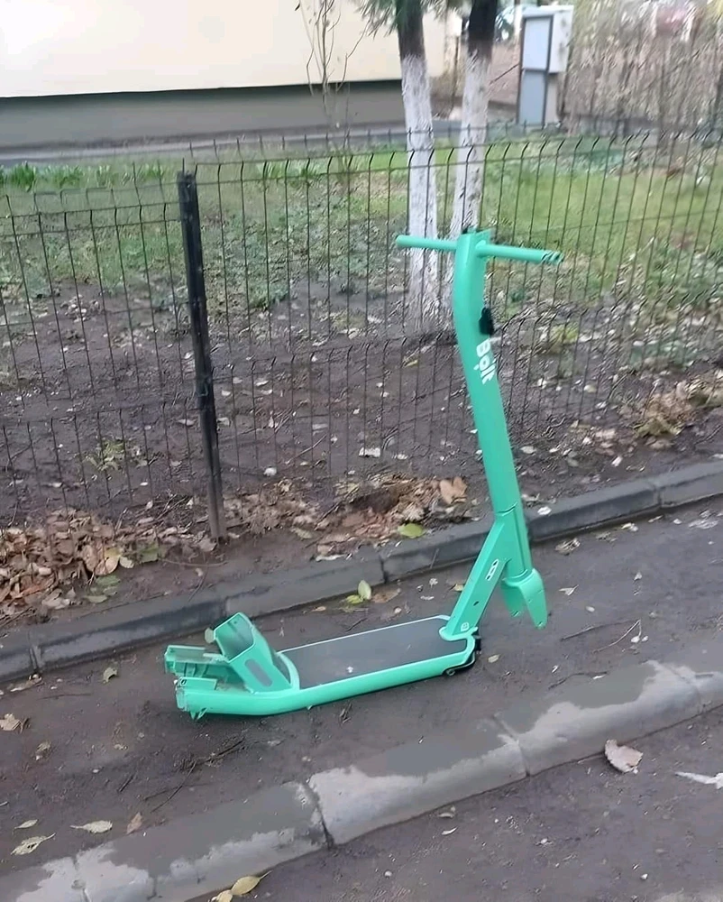 Imagine încărcată de GFN