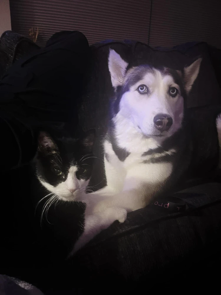 Image uploaded by Joshua