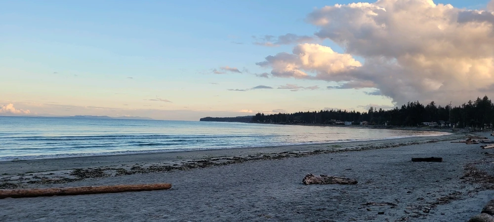 Image uploaded by Mason