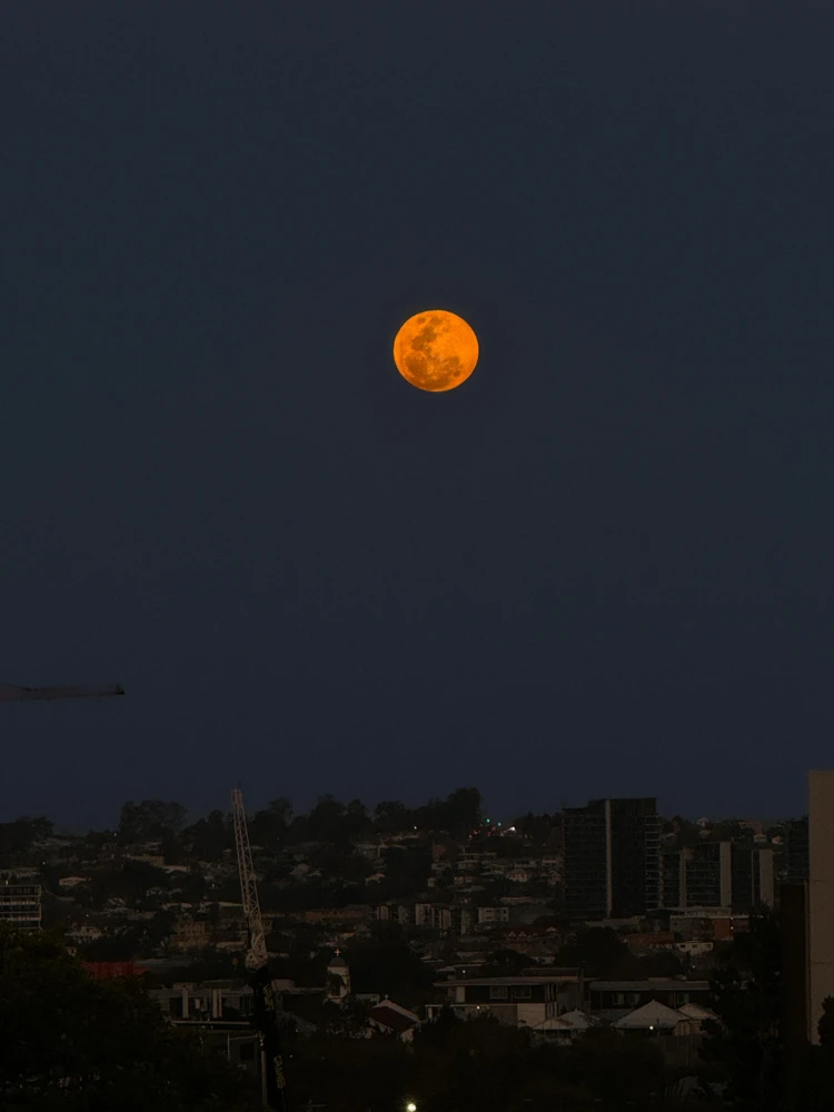 Imagen subida por Emilija