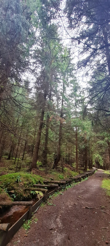 Bild hochgeladen von Peter