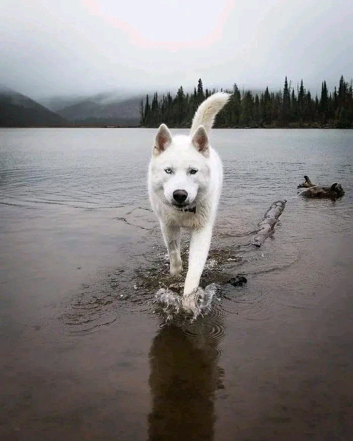 Image uploaded by 🔥 Deb 🔥